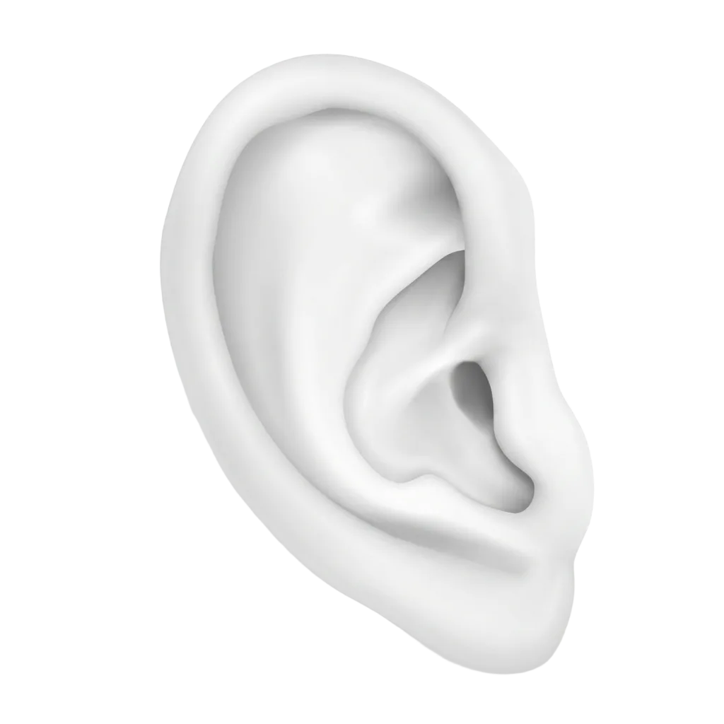 Illustration of an ear highlighting areas we pierce