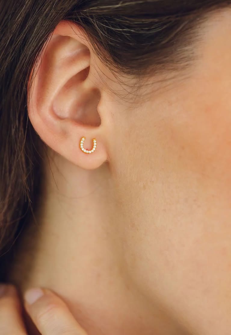 Horseshoe Stud Earrings, worn and on their own