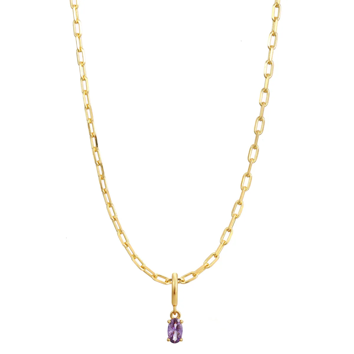 February Birthstone Necklace